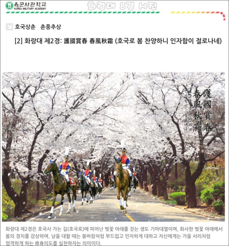 육군사관학교 벚꽃명소 개방행사