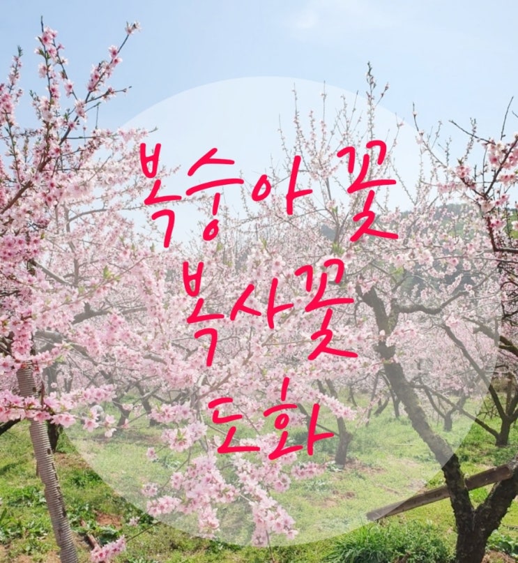  재미난 명리학에서 말하는 사주 살풀이 첫 번째 이야기