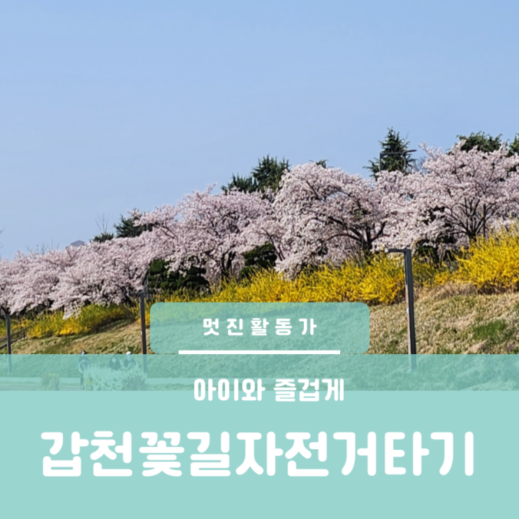대전 카이스트 벚꽃 꽃길 갑천변 천변길 라이딩 자전거 유아 트레일러 벌리 전기자전거 타기 아이와 라이딩 대전 카이스트 벚꽃 꽃길 갑천변 천변길 라이딩 자전거 유아 트레일러 벌리 전기자전거 타기 아이와 라이딩
