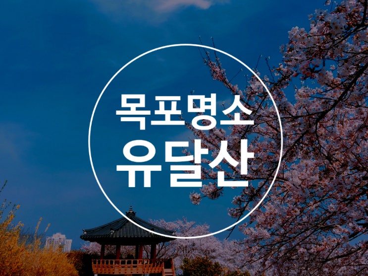 목포 유달산 벚꽃 현황 라이온스동산 어민동산 주차장