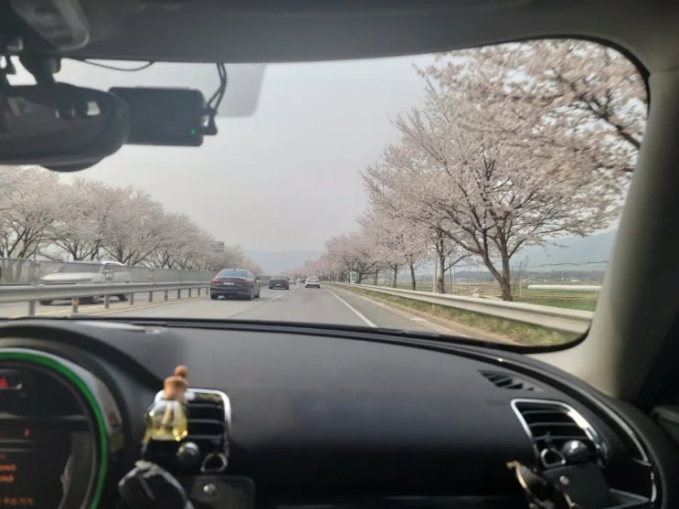  화개장터 벚꽃을 보러 간다면(#화개장터 주차장, 궁도장)
