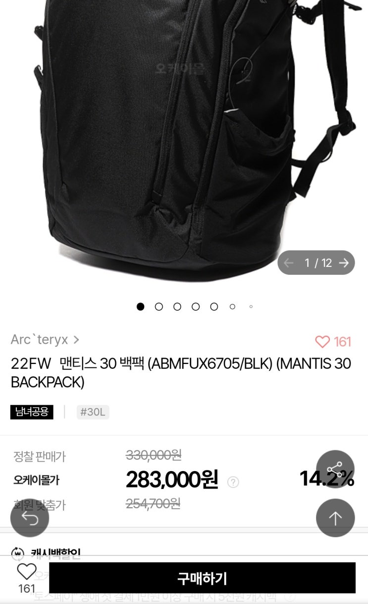 아크테릭스 백팩 - 맨티스 30 [20,30대 남자백팩]