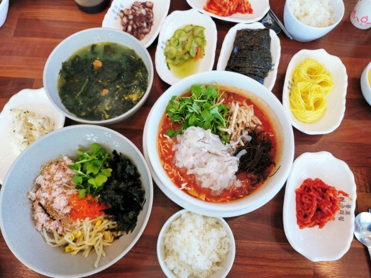  속초 물회집 봉포머구리집 뷰까지 맛집 (feat. 주차 팁)
