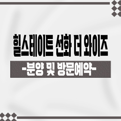  힐스테이트 선화 더와이즈 미분양아파트 선화동 현대건설 대전 국가산업단지 줍줍 분양가격 잔여호실 문의