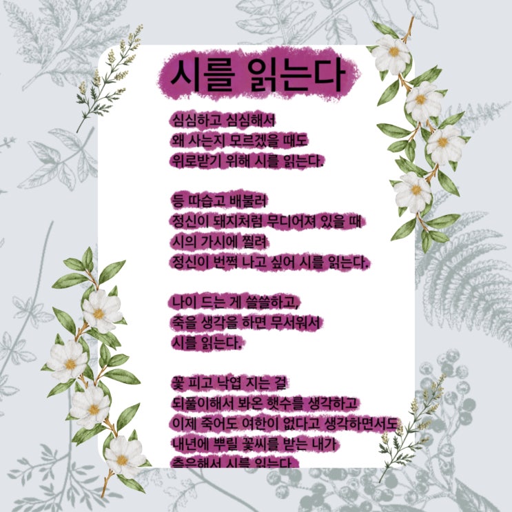 시를 읽는다 시 / 시를 읽는 이유는 무엇인가요? (ft. 시를 읽는다, 박완서 지음) 시를 읽는다 시 / 시를 읽는 이유는 무엇인가요? (ft. 시를 읽는다, 박완서 지음)