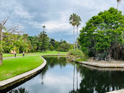  [호주 시드니 피크닉] Royal Botanic Garden :: 역시 왕궁식물원에서 즐기는 피크닉은 차원이 달랐다!