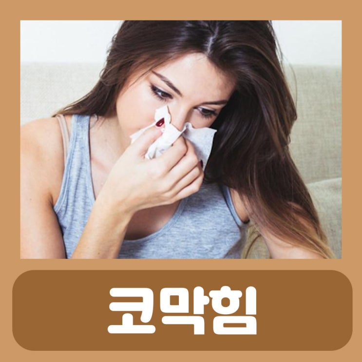  약국 코감기약 액티피드 노란콧물 맑은콧물 : 액티피드정 코감기 잠잘때 코막힘 약 코막힘 뚫는법