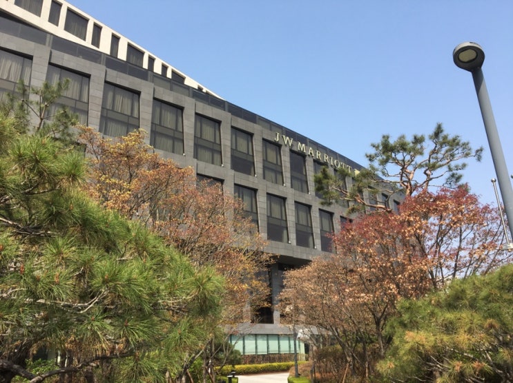  JW 메리어트 호텔 / 샬롱 드 딸기