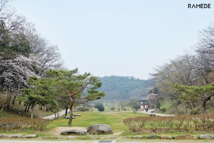  역사와 자연의 향기가 깃든 전라북도 고창 여행