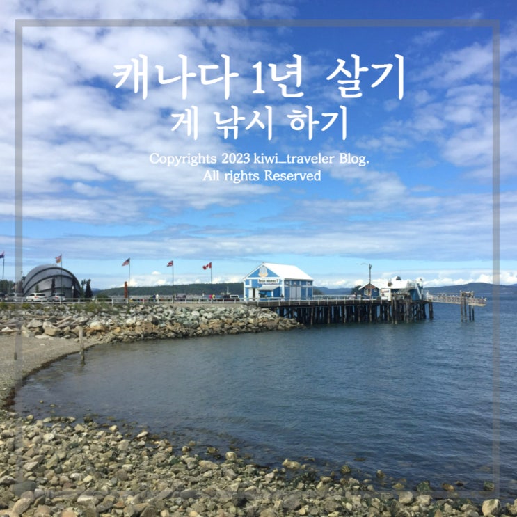  캐나다 빅토리아 1년 살기 - 시드니 게 낚시하기