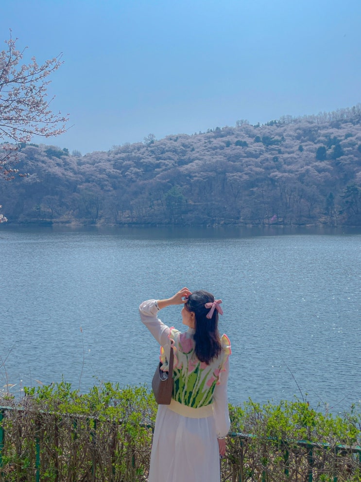  용인드라이브코스 가실벚꽃길 산책하기 좋은 저수지