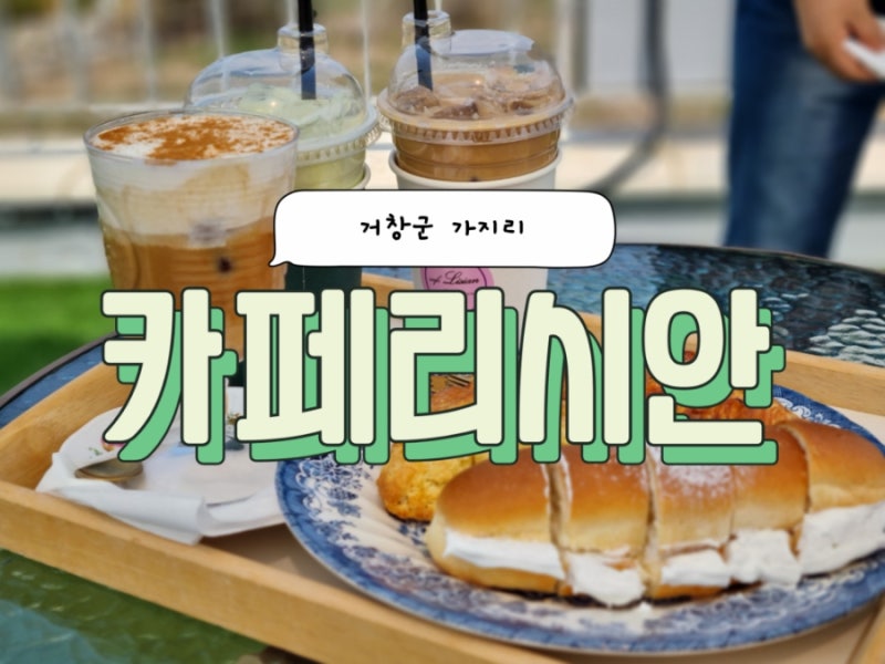 사진 5