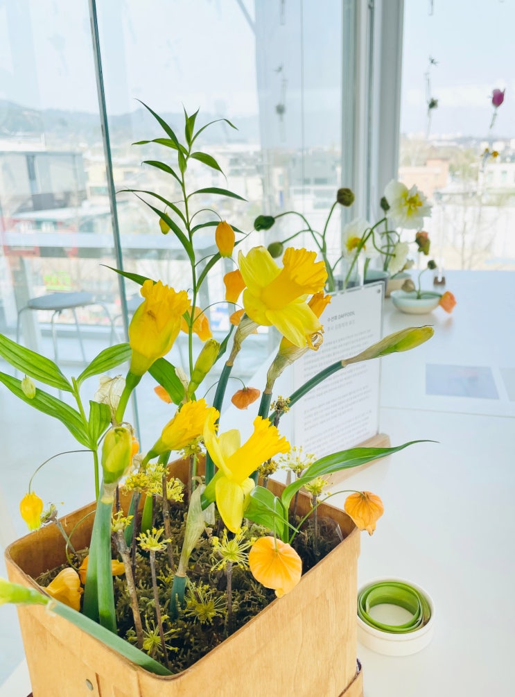  [전시회] 서촌 팝업 전시 'Hello Spring' (네스트)