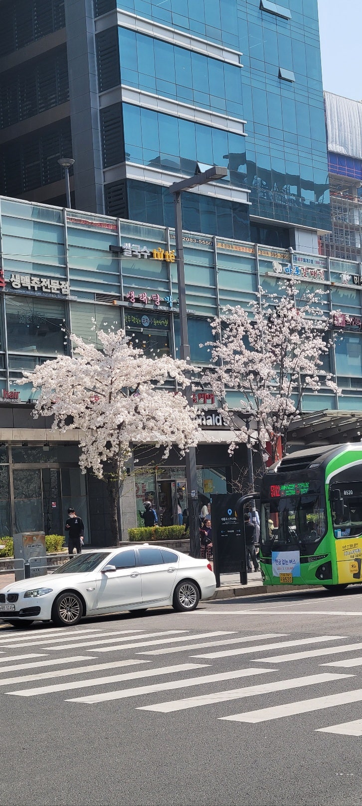  가산순대국 가산디지털단지역 점심맛집 햇빛촌순대국