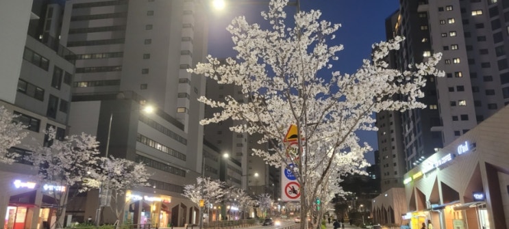  양천구 보건소 청사 확장 이전 부지 위치