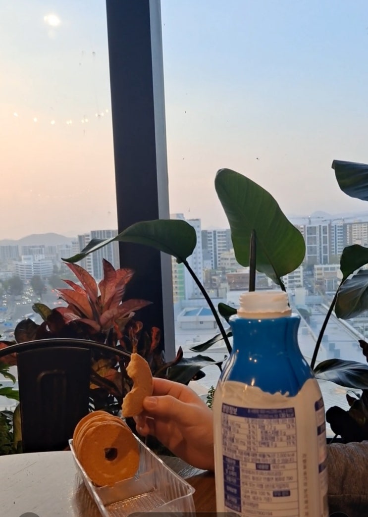  대구 신세계백화점 8층에서  89일 기록
