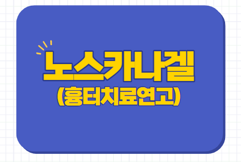  노스카나겔 약국 가격 흉터 효과 부작용 사용법 후기