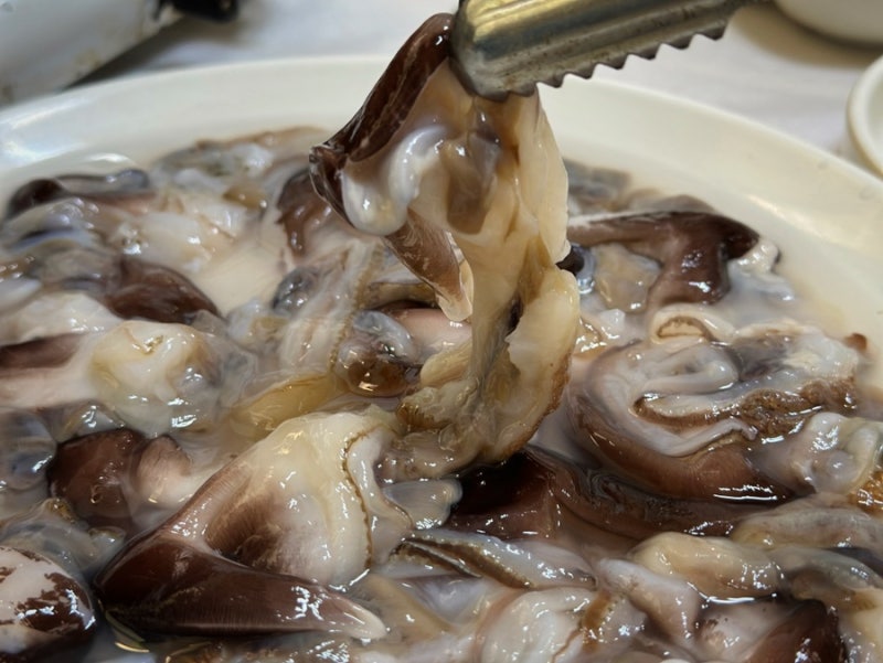 천안 새조개 샤브샤브 맛집 맛있었던 쌍용동 원조 양지식당 후기 : 네이버 블로그