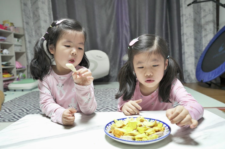  건조과일칩 Dao Fruits 다오믹스 다오프루트칩 어린이간식