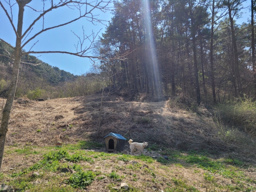 신백년 사진 3