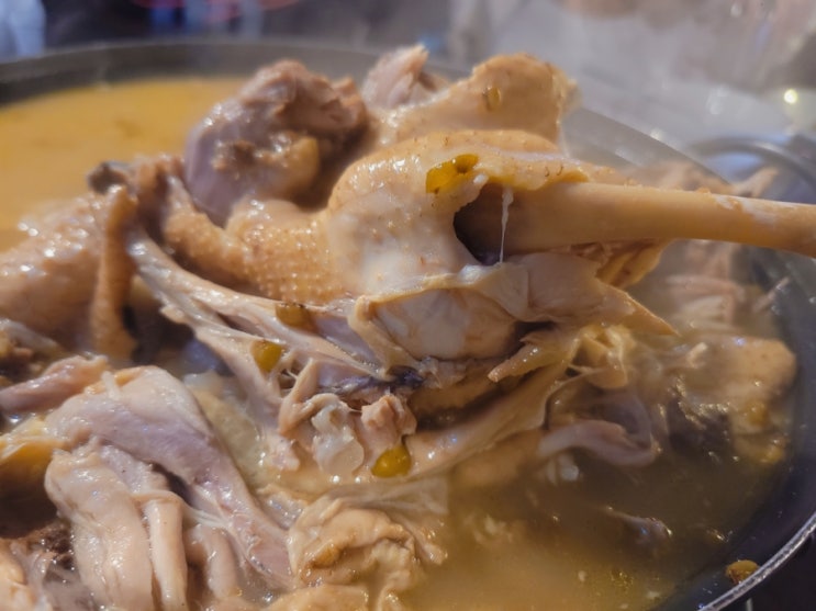  나만 알고 싶은 마산 가포 맛집 가포동굴집 닭백숙 테이블링 예약