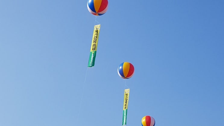  [옥천 묘목축제]