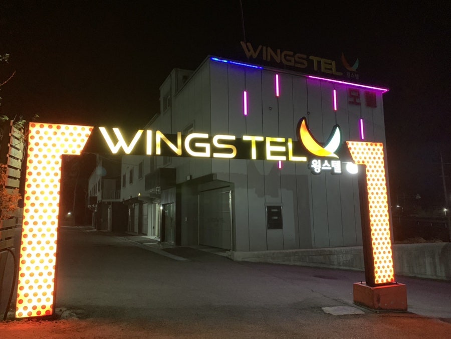 윙스텔 사진 2