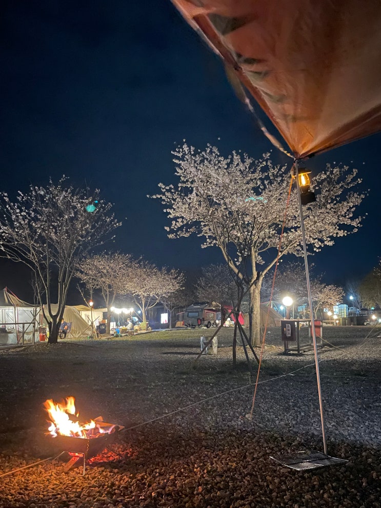 [충북/충주] 벚꽃을 보며 캠핑이 가능한 '열린캠핑장'