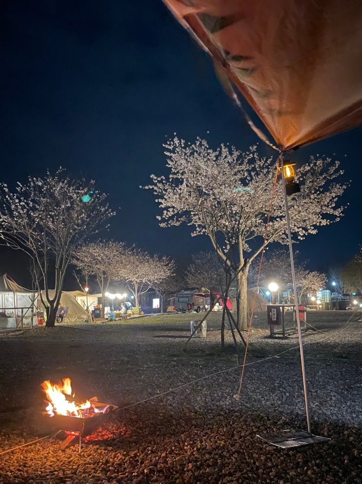  [충북/충주] 벚꽃을 보며 캠핑이 가능한 '열린캠핑장'