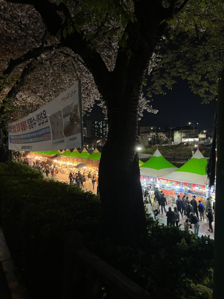 황령산 벚꽃놀이, 온천천 야시장 , 온천천벚꽃축제 : 일상 데일리 하루 황령산 벚꽃놀이, 온천천 야시장 , 온천천벚꽃축제 : 일상 데일리 하루