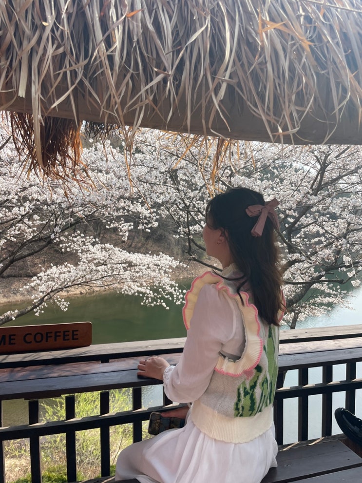  경기도 벚꽃명소 다람이커피로 용인 드라이브 다녀왔어요