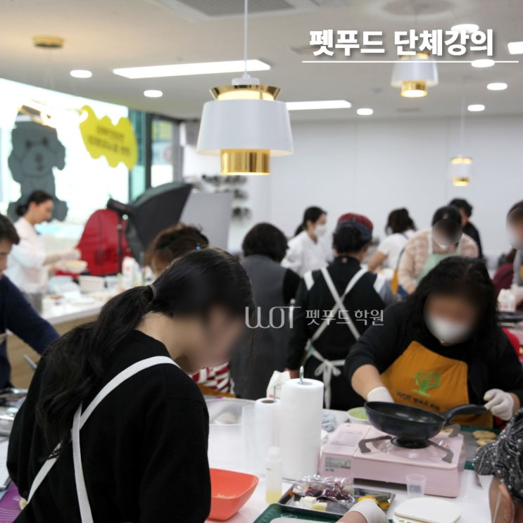  펫푸드 단체강의도 더블유오티에서 시작해보아요
