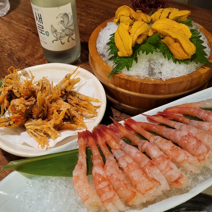  [곤파치 교대점] 교대역 술집 교대역 이자카야 교대역 룸술집