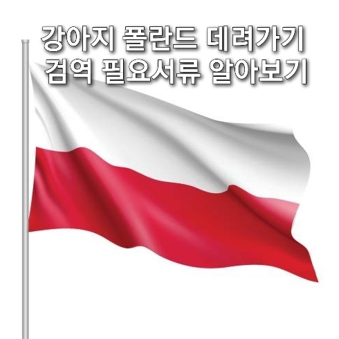  강아지 유럽 폴란드 데려가기 검역 필요서류 알아보기