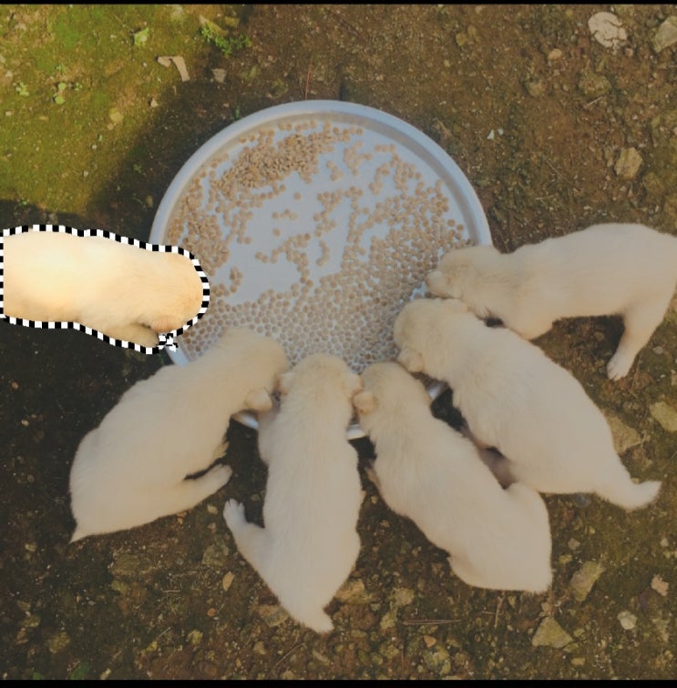  ctrl+c, ctrl+v