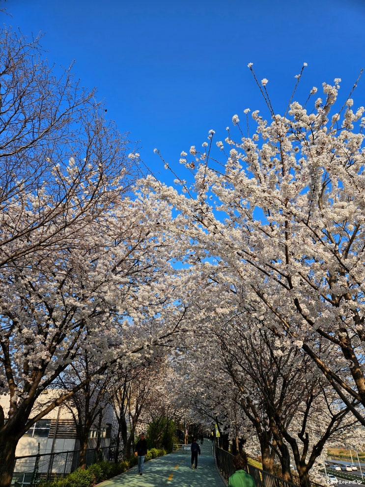  주간일기 23.03.26~23.04.01