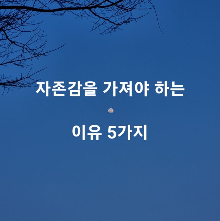  자존감을 가져야 하는 이유 5가지