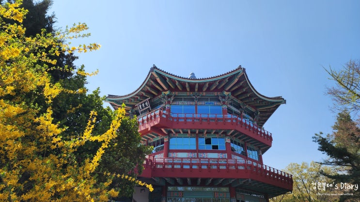  봄 아이와 꽃구경 가볼만한곳 서울 어린이대공원 뚜벅이 여행 놀이터