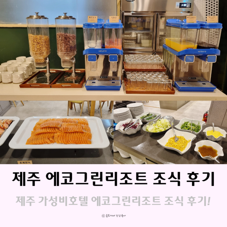 제주가성비호텔 에코그린리조트 조식 뷔페 솔직후기 제주가성비호텔 에코그린리조트 조식 뷔페 솔직후기
