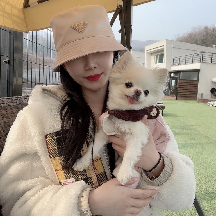  점심시간에 다녀온, 압구정 브이라인 긴실리프팅 후기! +통증, 붓기