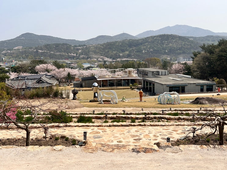  통도사 근처 아이들과 가볼 만한 복합문화공간 양산 갤러리 카페 스페이스 나무