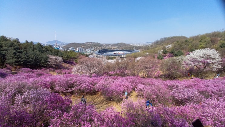 2023년 4월 부천가볼곳 원미산진달래꽃축제 팁 근처맛집