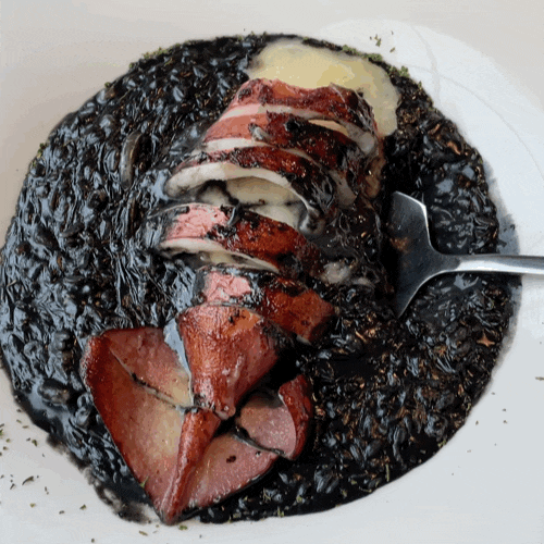  신사 가로수길 브런치 레스토랑 내돈내산 맛집 - 까사밀 CASAMEAL