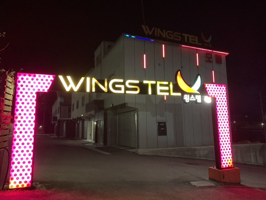 윙스텔 사진 1