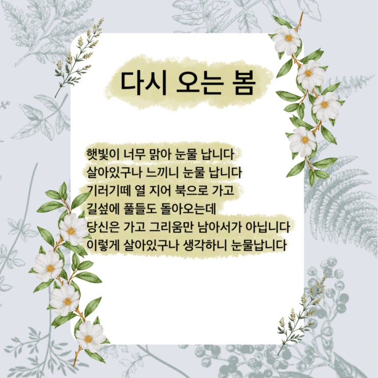 다시 오는 봄 시 봄에 어울리는 시 추천 (ft. 담쟁이(도종환 시선집), 도종환 지음) 다시 오는 봄 시 봄에 어울리는 시 추천 (ft. 담쟁이(도종환 시선집), 도종환 지음)