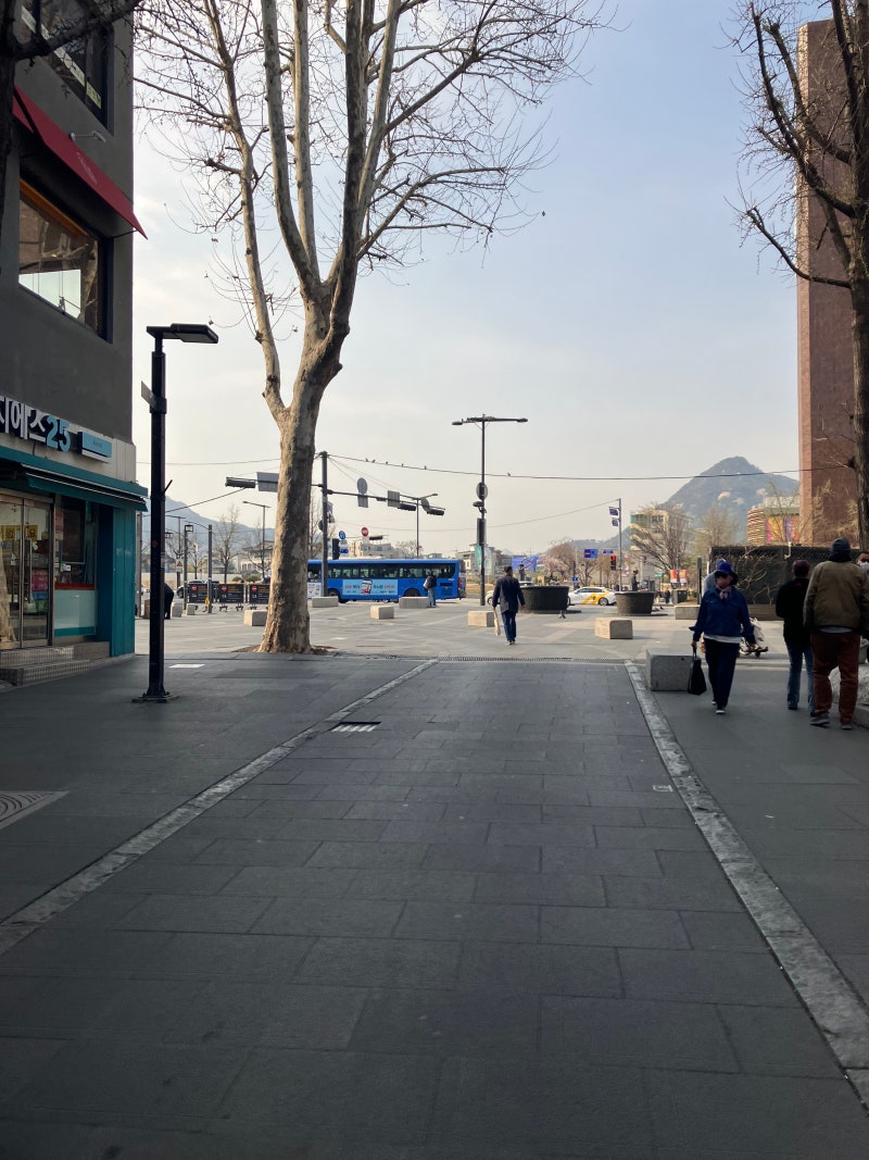 서울 여행, 맛집]백소정 안암본점, 을지다방, 안녕인사동, 쌈지길, 돈의문 박물관마을, 광장시장, 스파렉스 굿모닝시티점, 라화쿵부  신촌점, 김보람 초콜릿 연남점 : 네이버 블로그