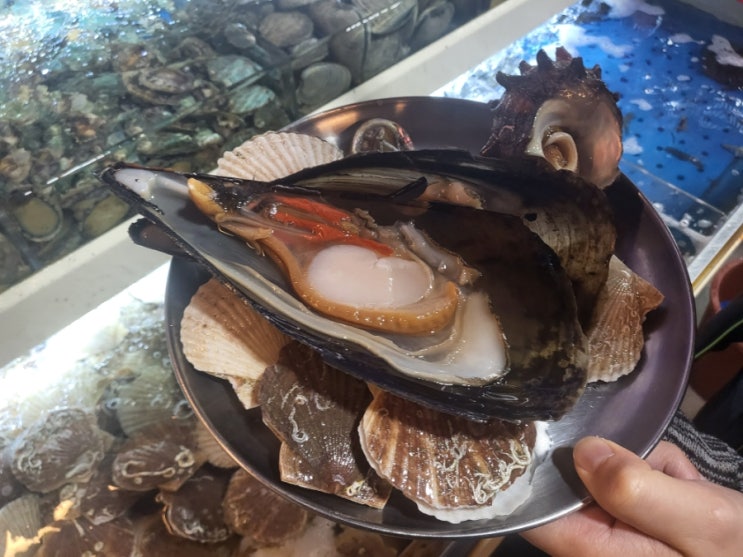  검단신도시 맛집 육해공 메뉴 조개 무한리필 검단 조개 창고