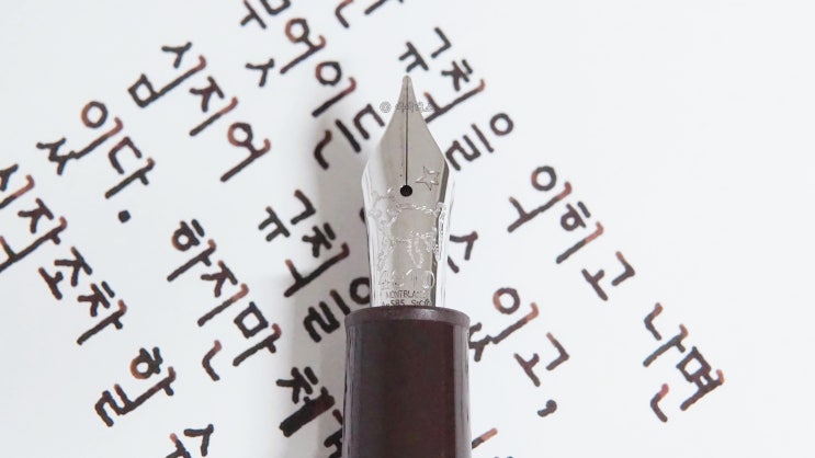  규칙 파괴 (몽블랑 어린왕자 르그랑 M닙 만년필로 필사하기)