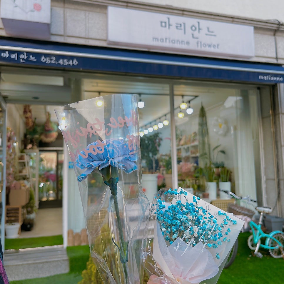 마리안느플레르 사진 2