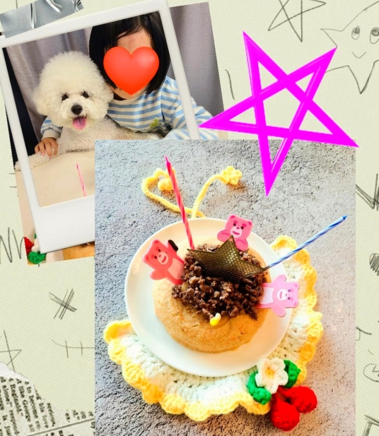 강아지 케이크 만들기 생일 특식 쉬운 레시피 강아지 케이크 만들기 생일 특식 쉬운 레시피